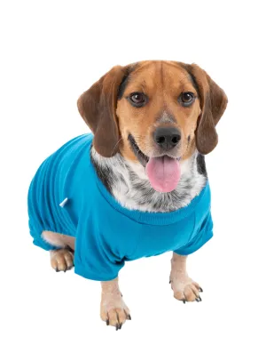 Dogs Solid Color Teal Pajamas